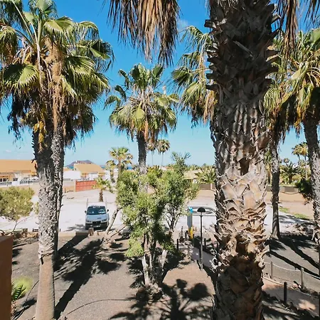 Playa Y Palmera 코라레호