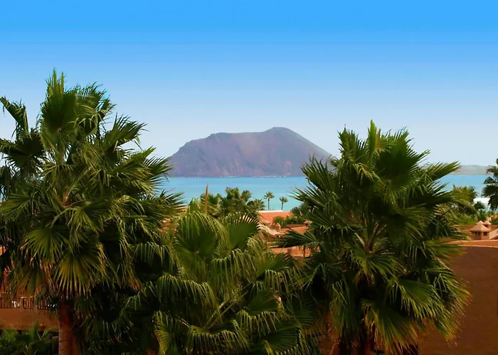 Playa Y Palmera