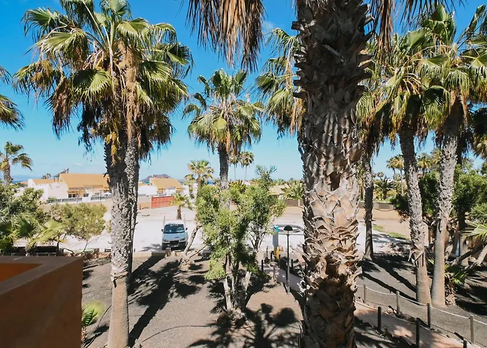 Playa Y Palmera Corralejo